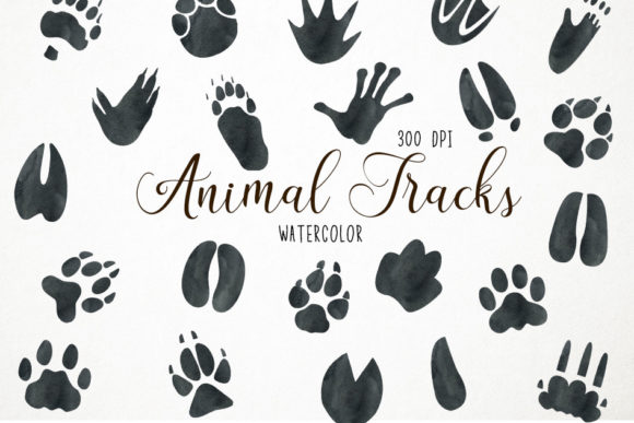 Animal Tracks Clipart: Bringing Nature's Footprints to Your Designs