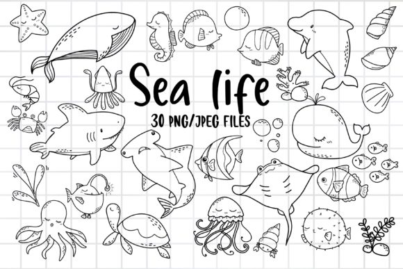 Sea Life Clipart and Ocean Animal PNG for Creative Projects